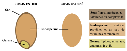 Image grains